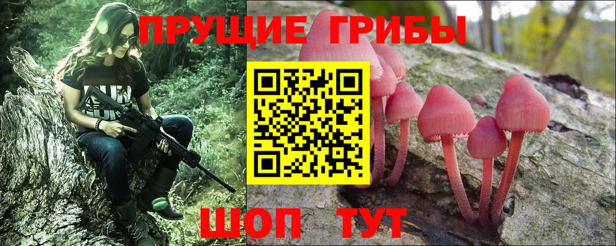 Галлюциногенные грибы Cubensis  Галлюциногенные грибы прущие грибы  Вход с VPN  Нижневартовск 